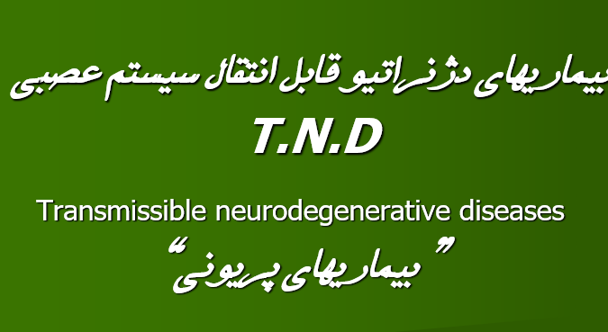 t-n-d